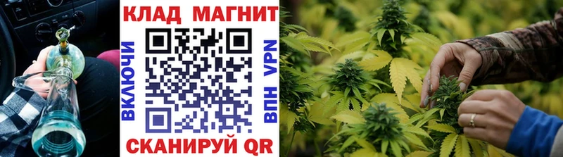 Купить наркотик аптеки Новая Ладога COCAIN  Амфетамин  Марихуана  гидра зеркало  Alpha-PVP  ГАШ 