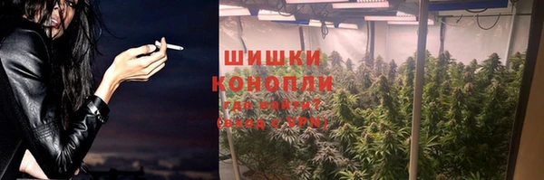 бутират Гусь-Хрустальный