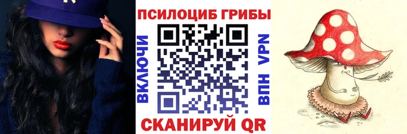 Галлюциногенные грибы мицелий  купить наркотик  Новая Ладога 